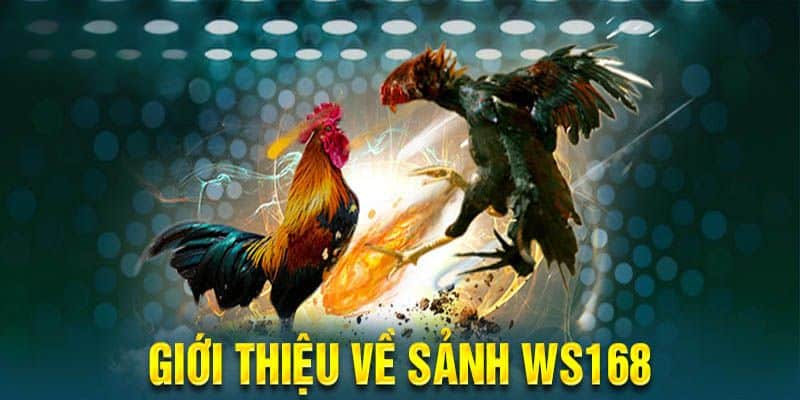 Hành Trình Phát Triển và Lịch Sử Hình Thành